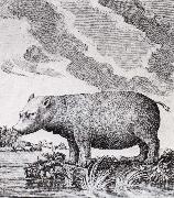 unknow artist hippopotamus,flodhasten eller sjokon,som den ocksa kallades Germany oil painting artist